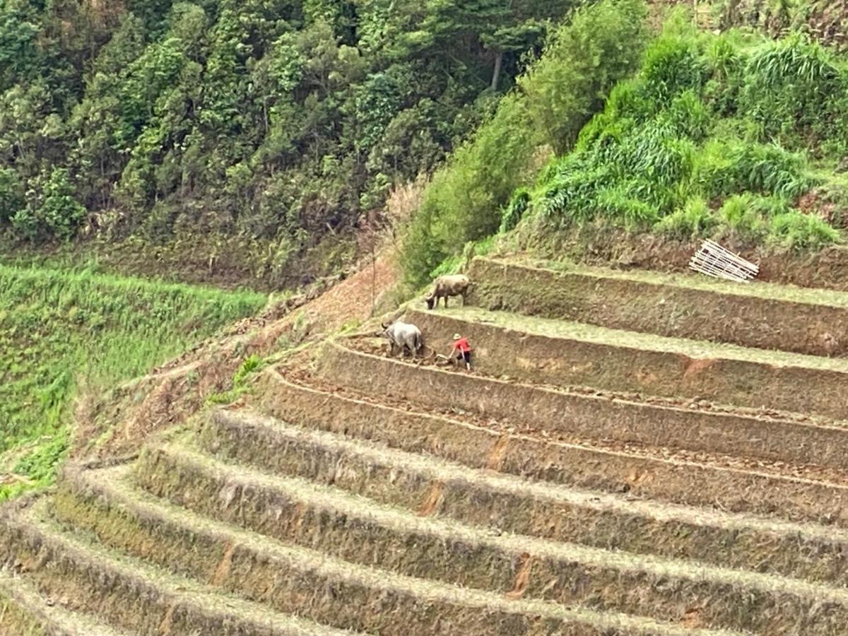 & Trekking Mu Cang Chai