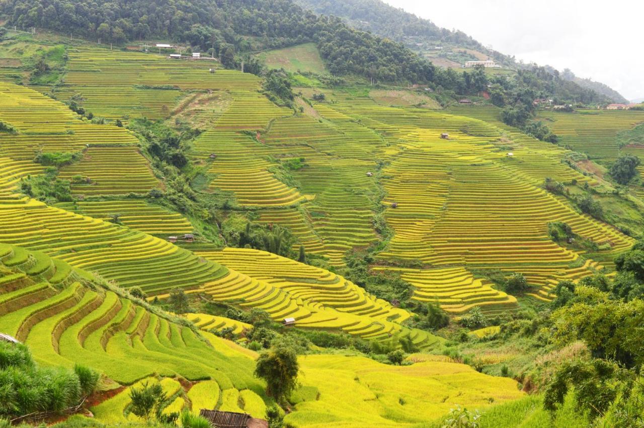 & Trekking * Mu Cang Chai