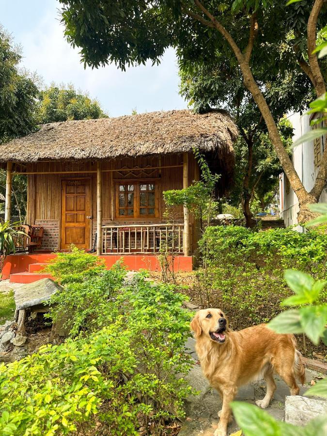 Homestay Bamboo Ninh Binh