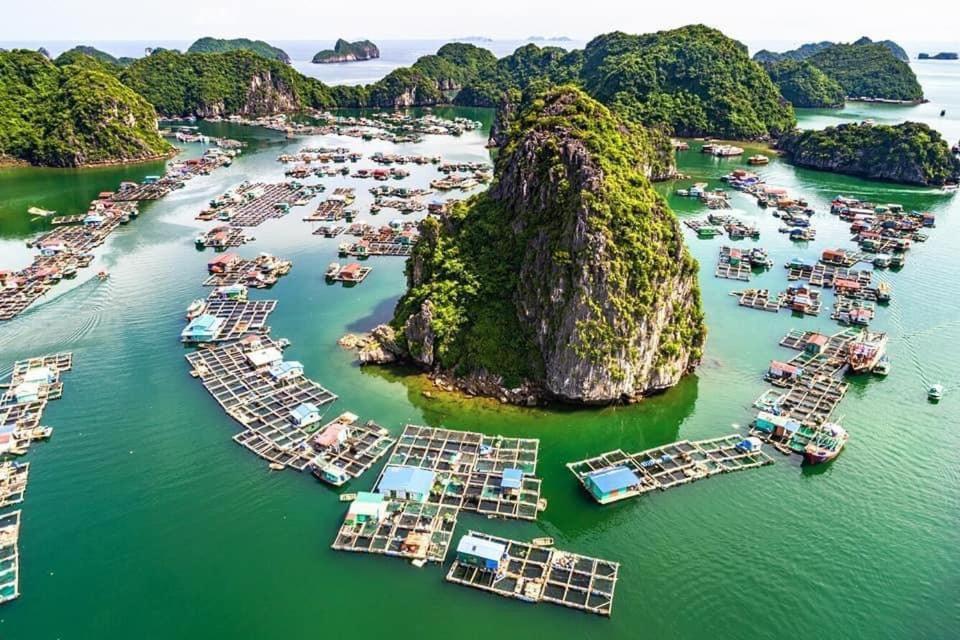 Ngoc Hoa - Seaview * Dong Khe Sau