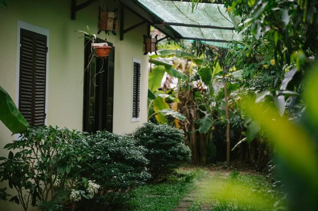 Hotel Lotus