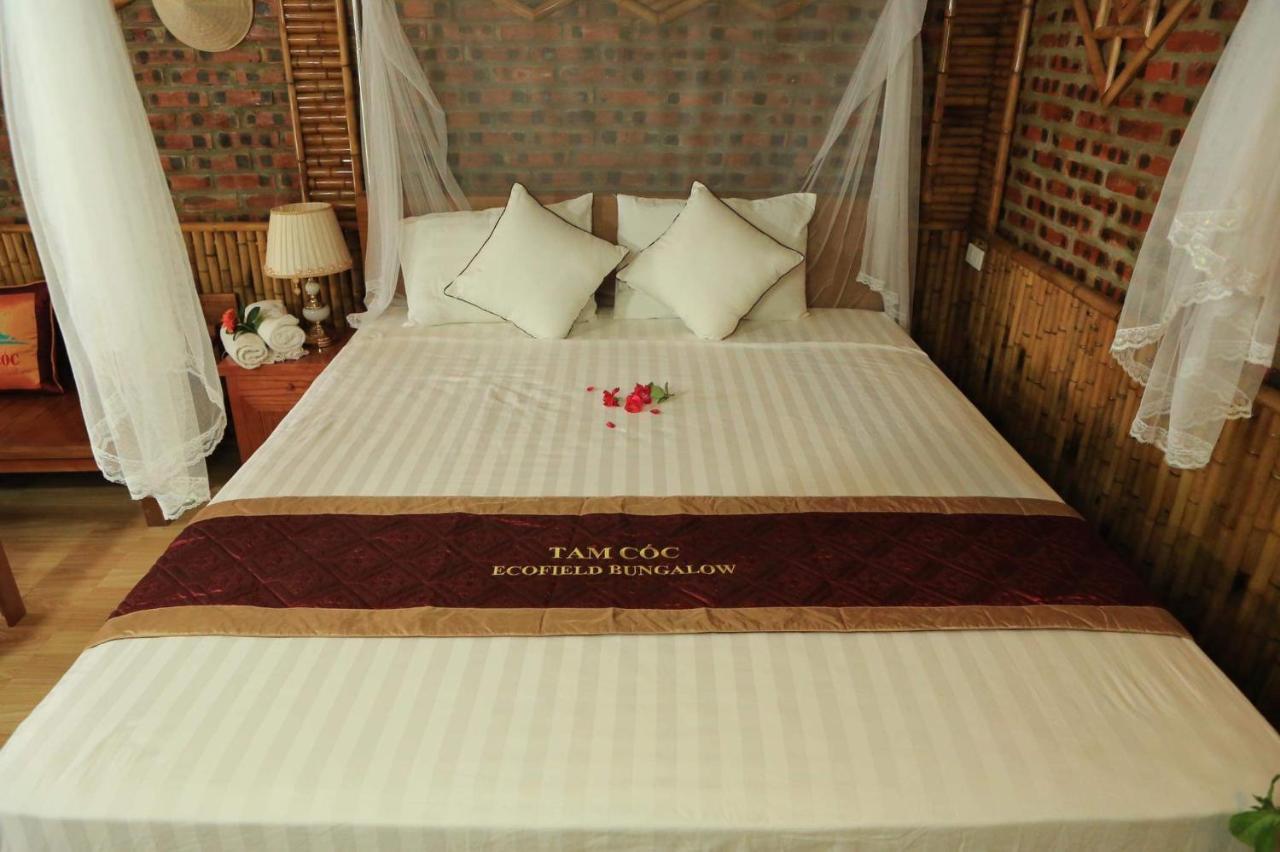 Tam Coc Eco Field Homes Lodge