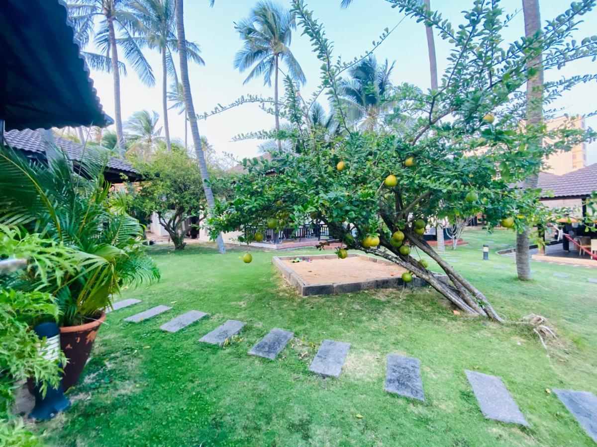 Jaguar House Muine Hotel Mui Ne