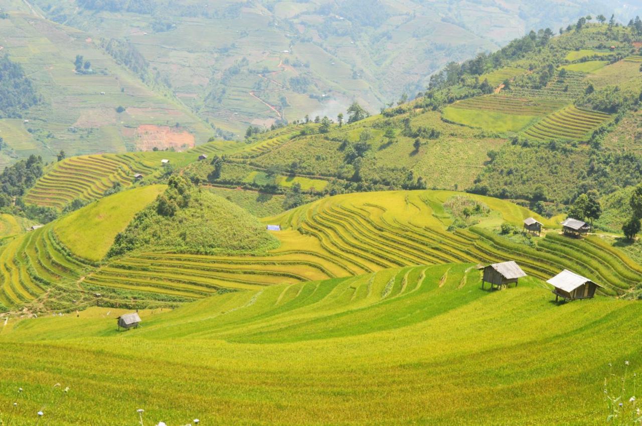 Lodge & Trekking *