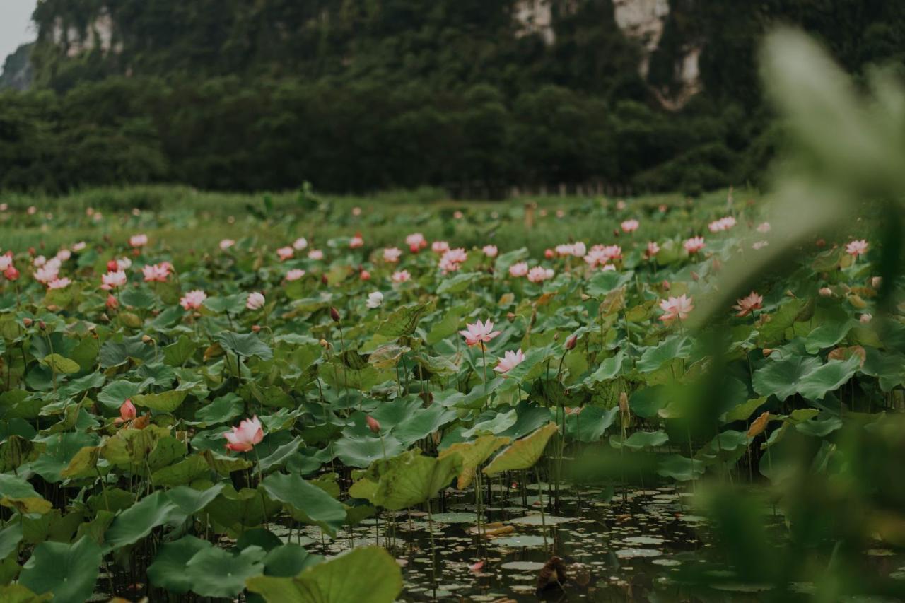 Aravinda 4* Ninh Binh