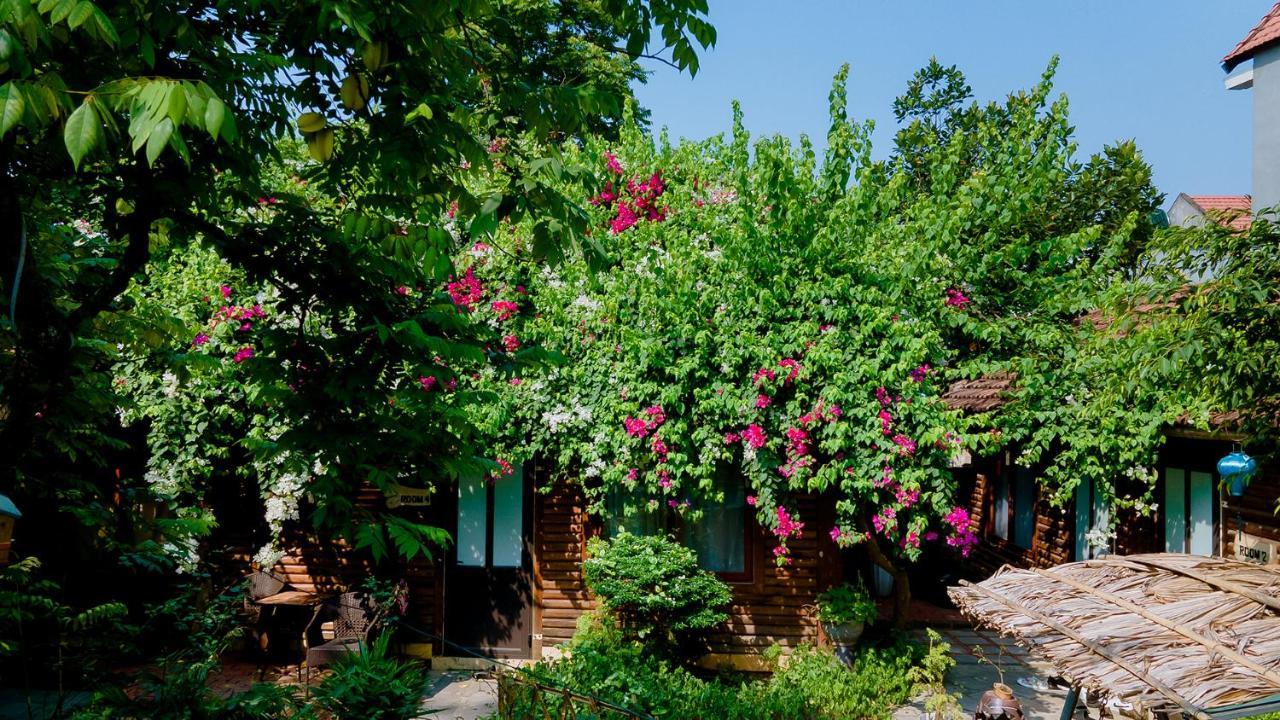Homestay Peace