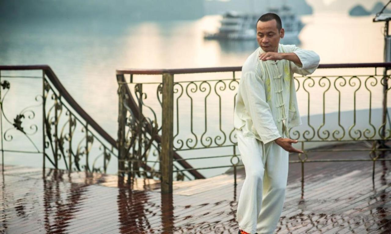 Indochine Cruise 