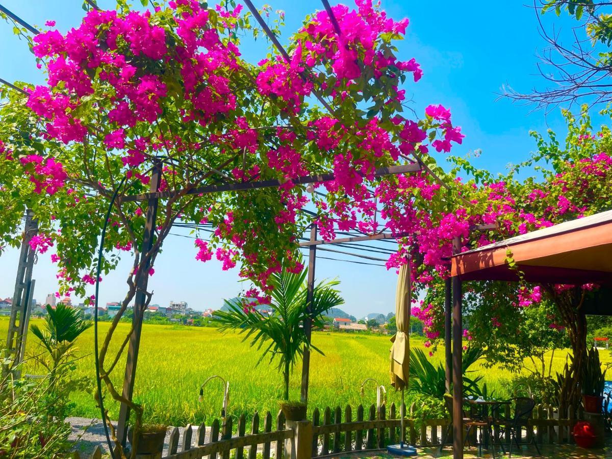 Lodge Tam Coc Eco Field Homes *