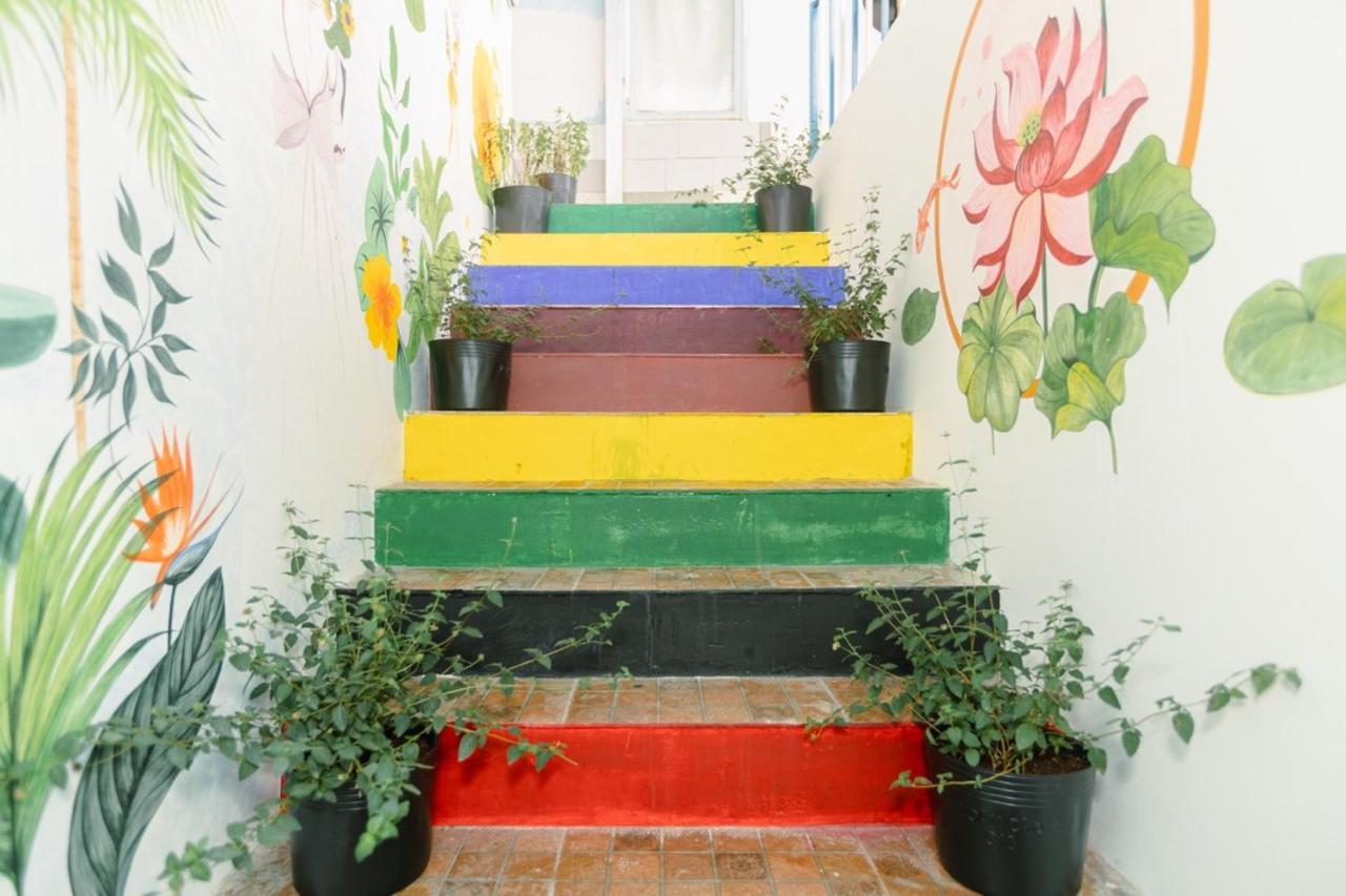 Coca Guest house *