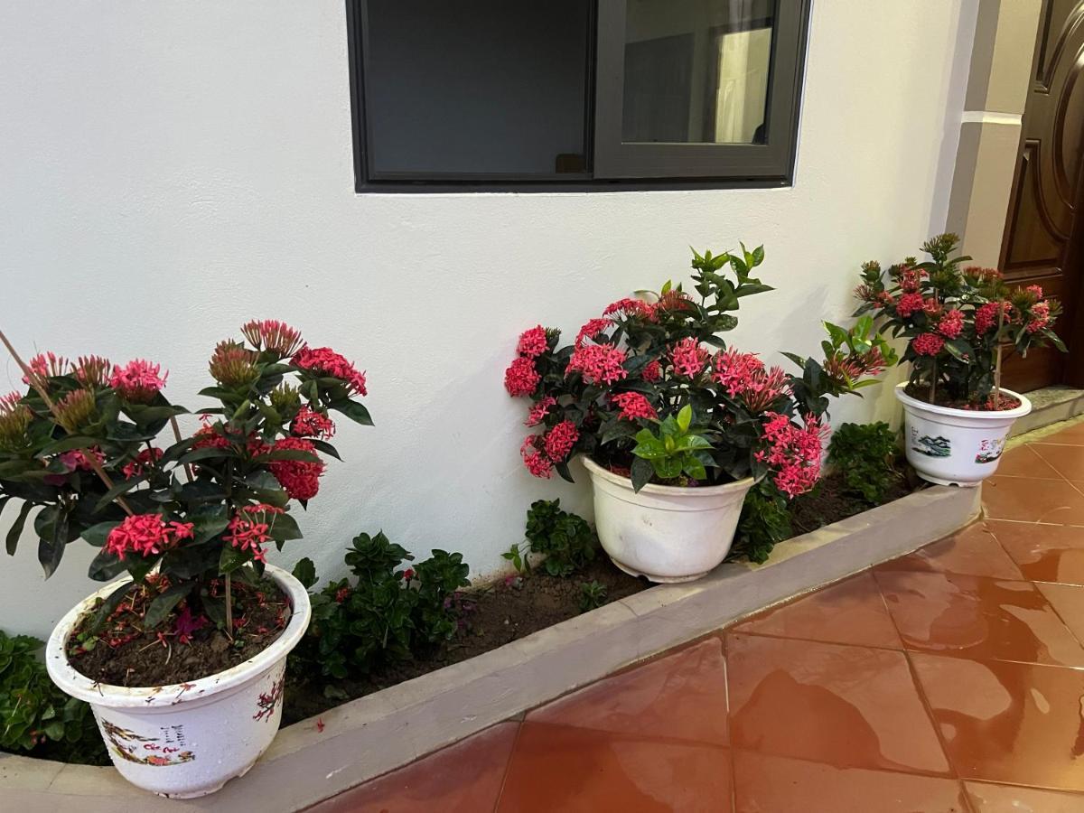Nha Nghi Ngoc Long Bed & Breakfast