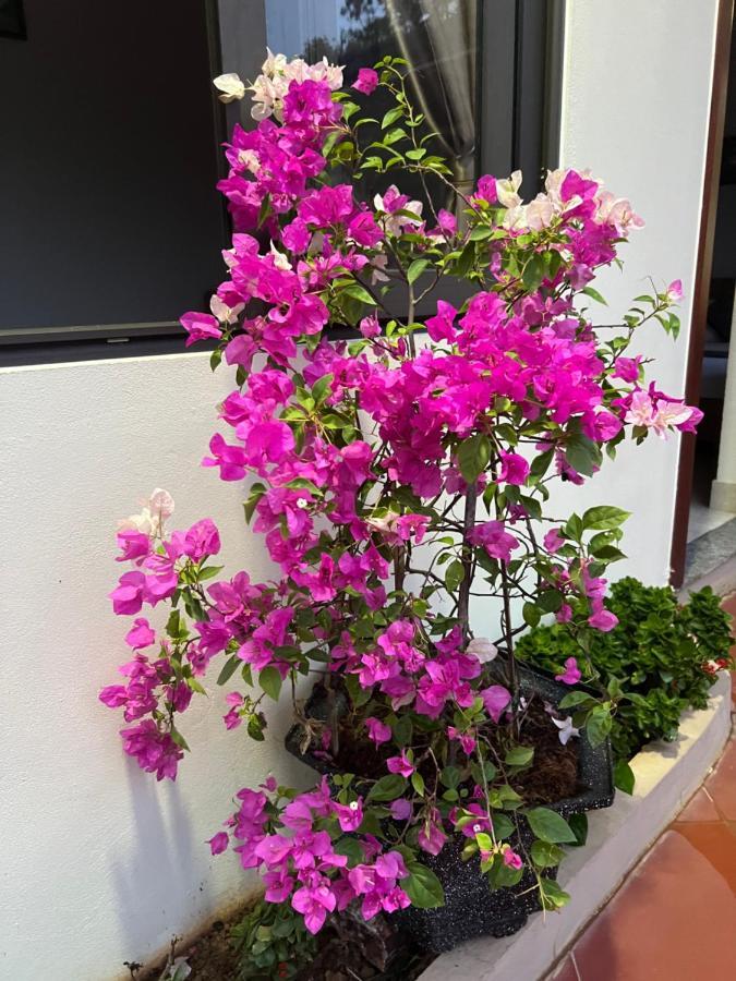 Bed & Breakfast Nha Nghi Ngoc Long *