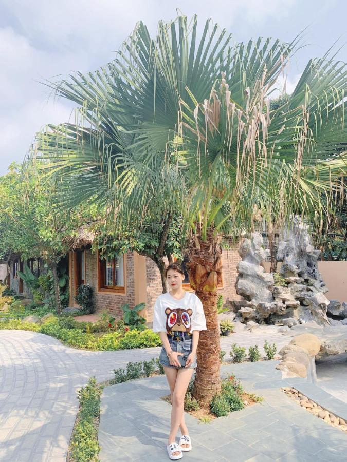 Homestay Lemon Tree Tam Coc *