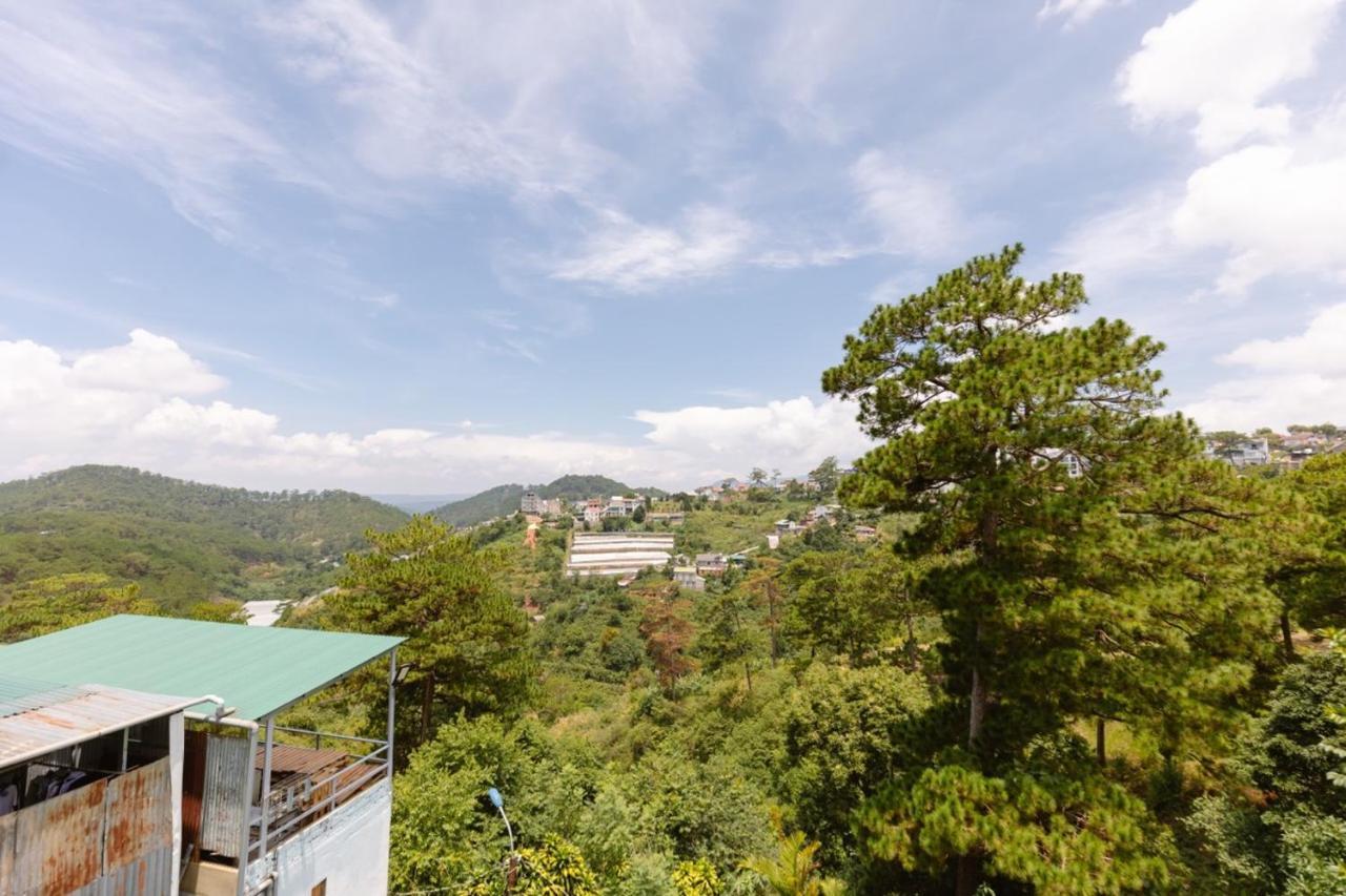 Coca Guest house *