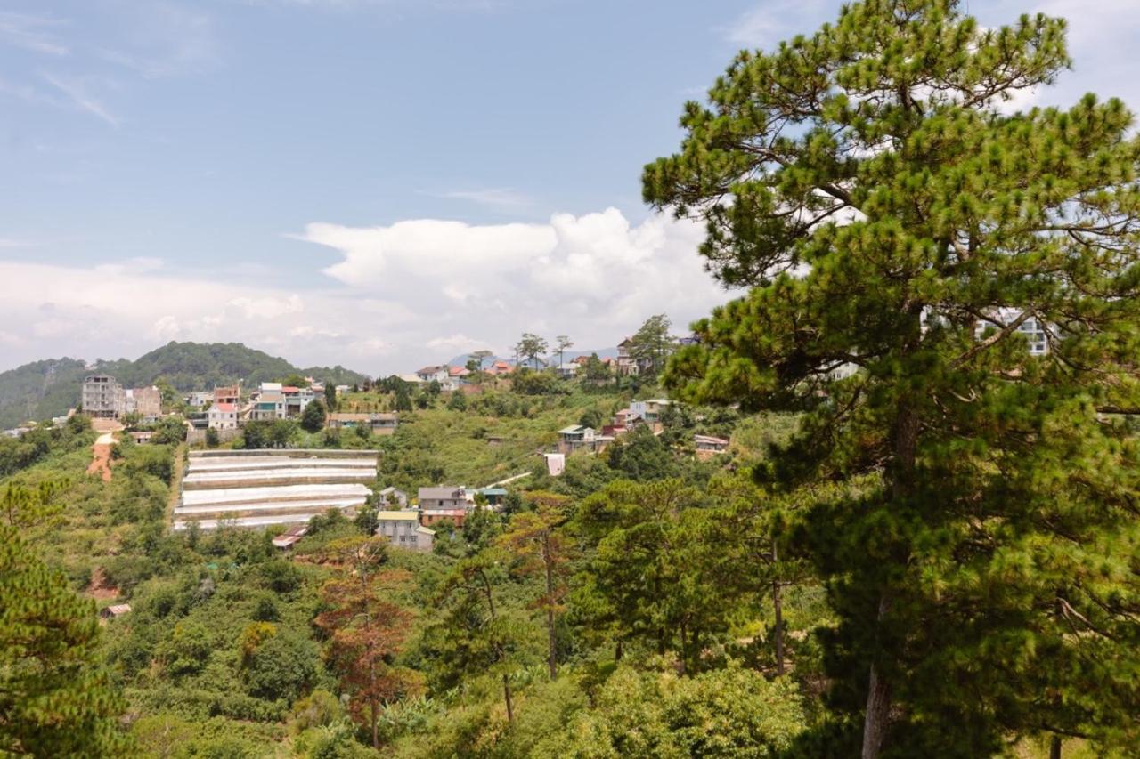 Coca Da Lat