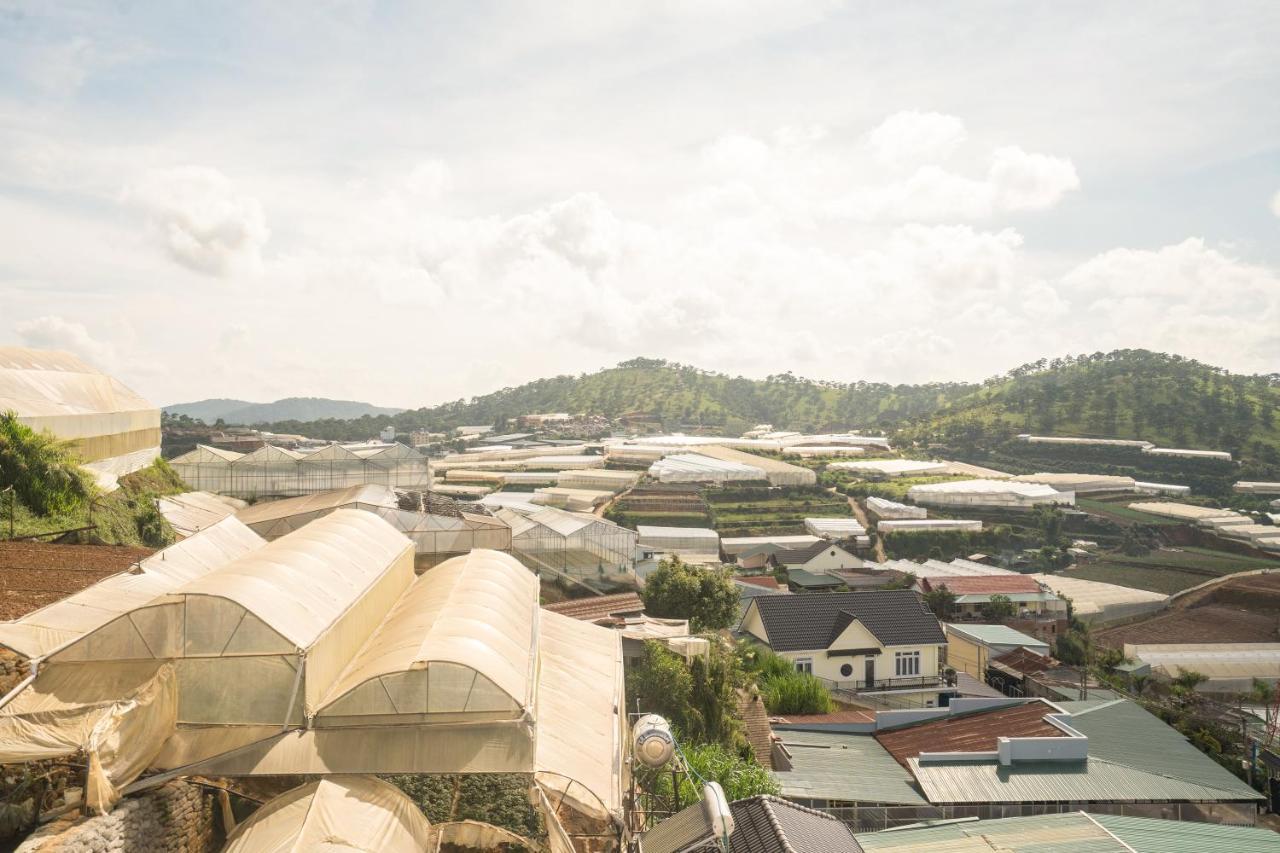 Binbin Phuc Hotel *