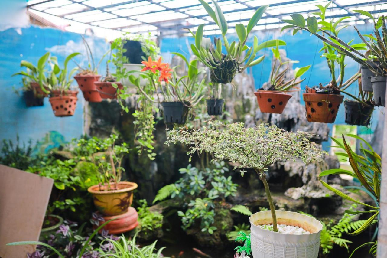 Gio - Homestay *