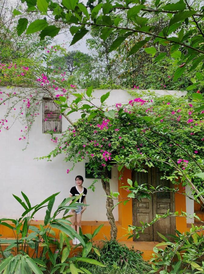 Resort Rose & - Ba Vi 4*
