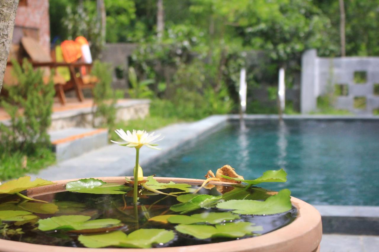 Bed & Breakfast Nomad Hill