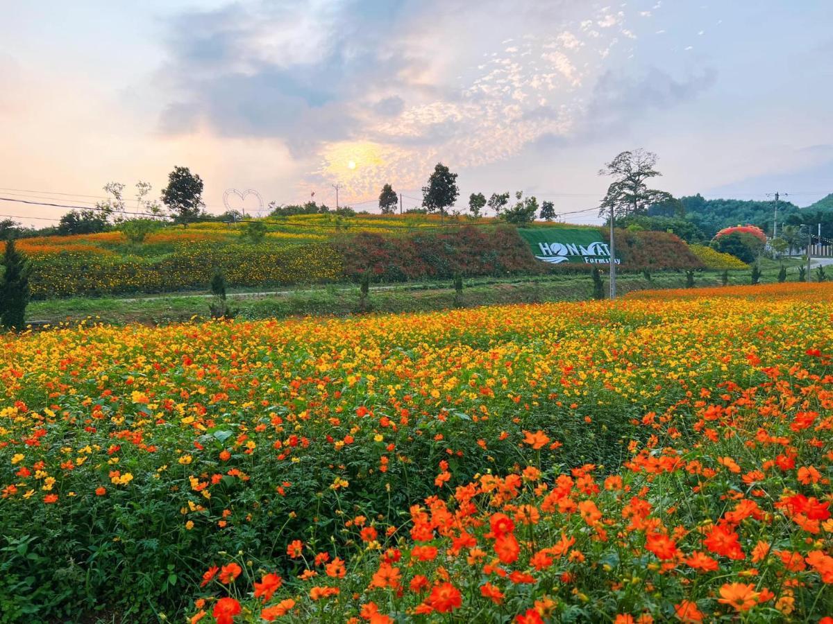 Sinh Thai Hon Mat