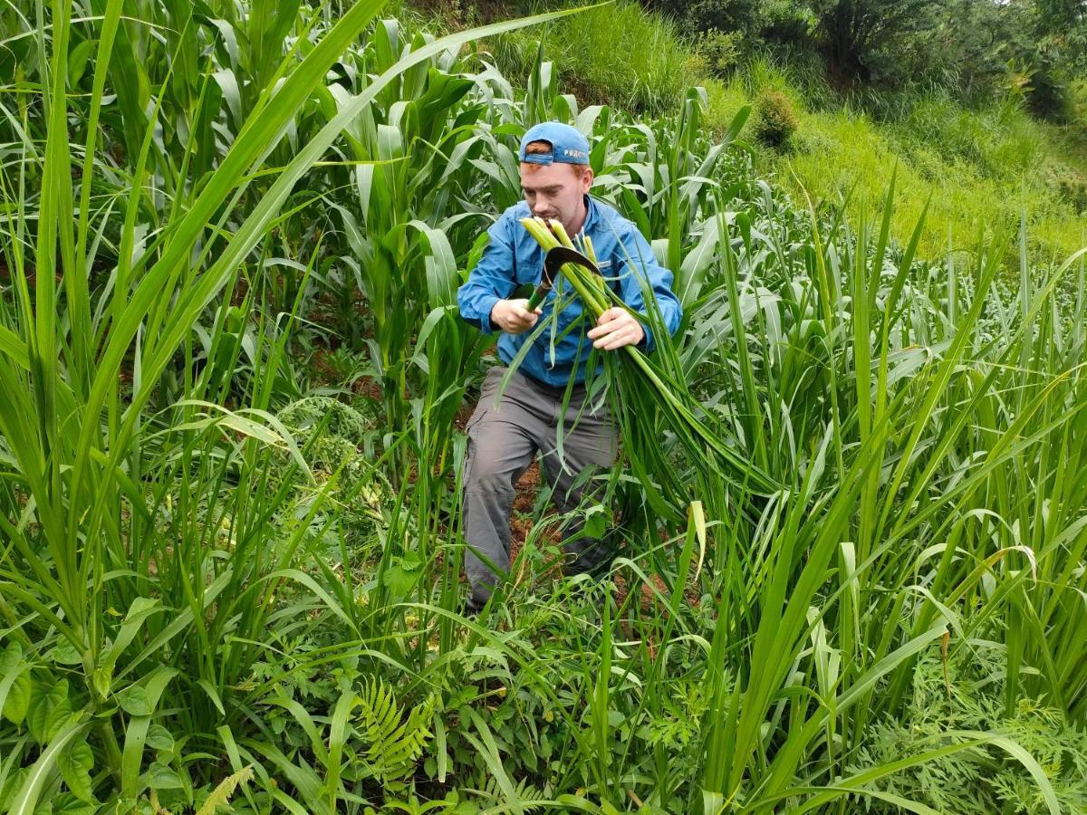 Backpacker Lodge Mu Cang Chai