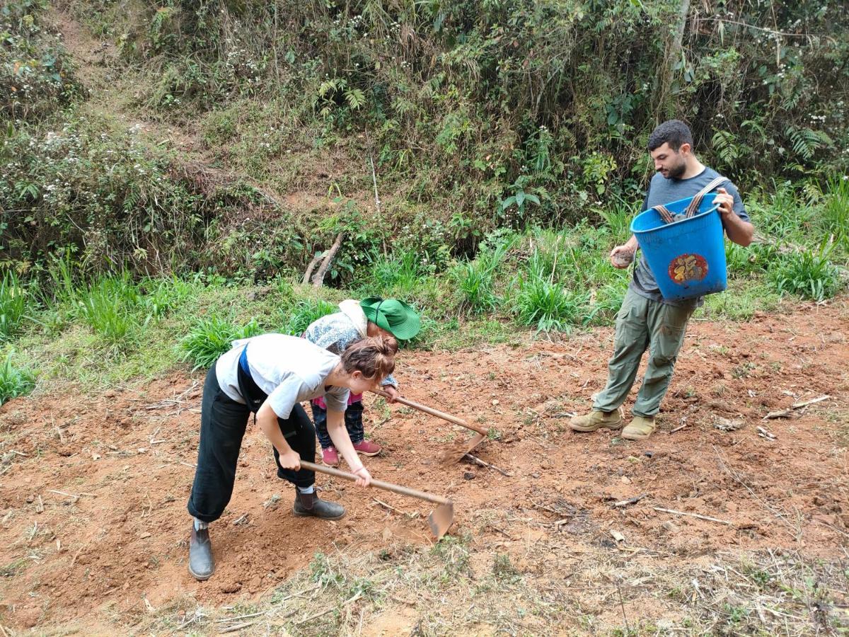 Backpacker Lodge Mu Cang Chai