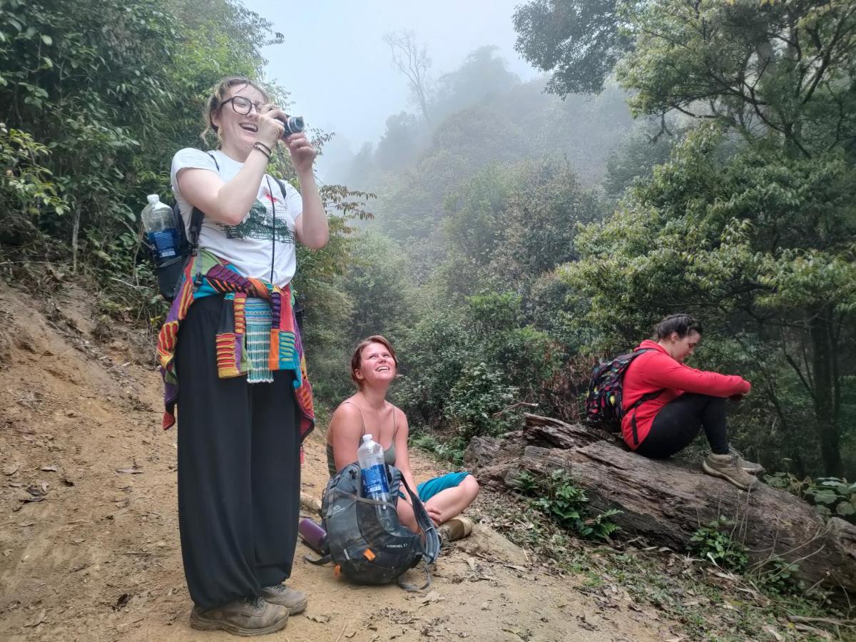 Lodge Backpacker