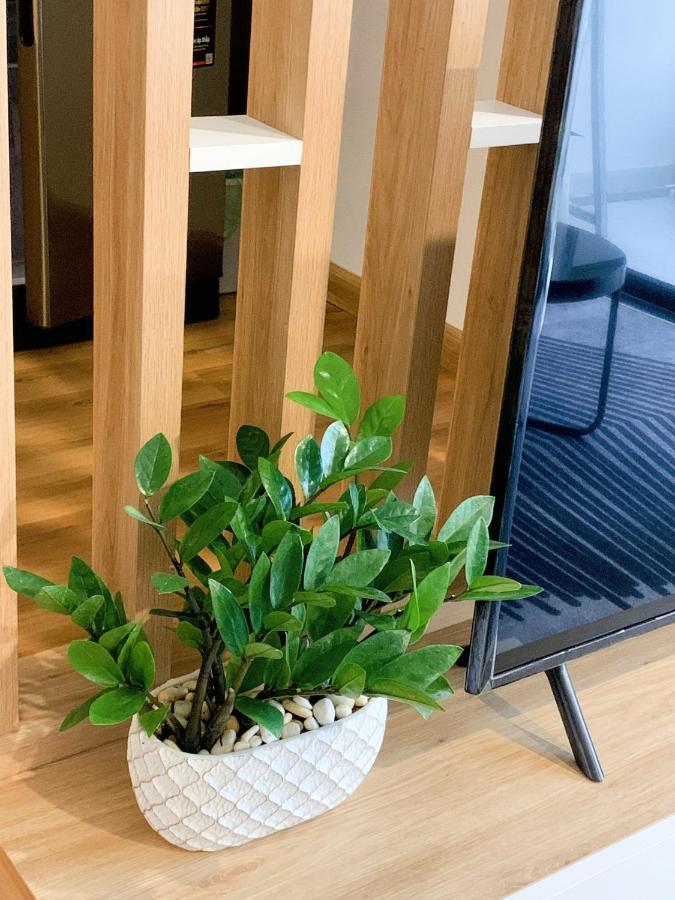 Apartment Ho Khach San Gan Bien Tms Luxury - Hanna House *