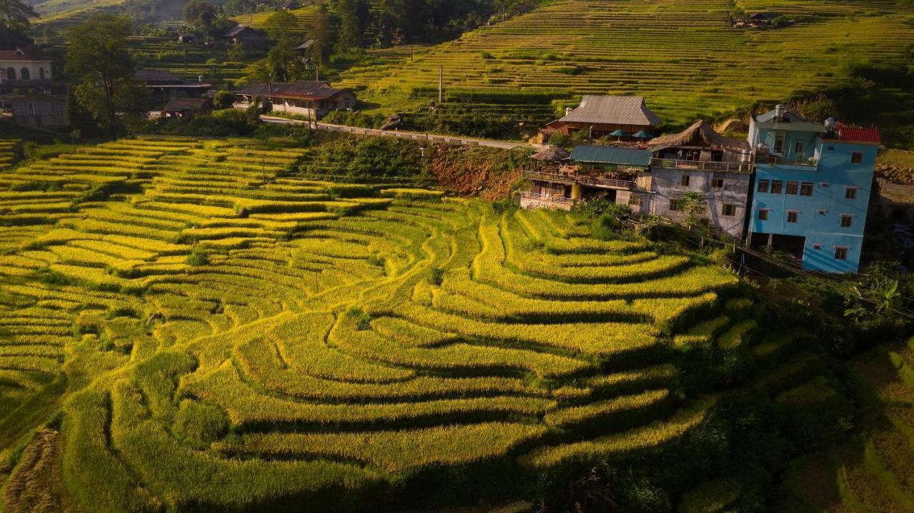 Hoa's Homestay