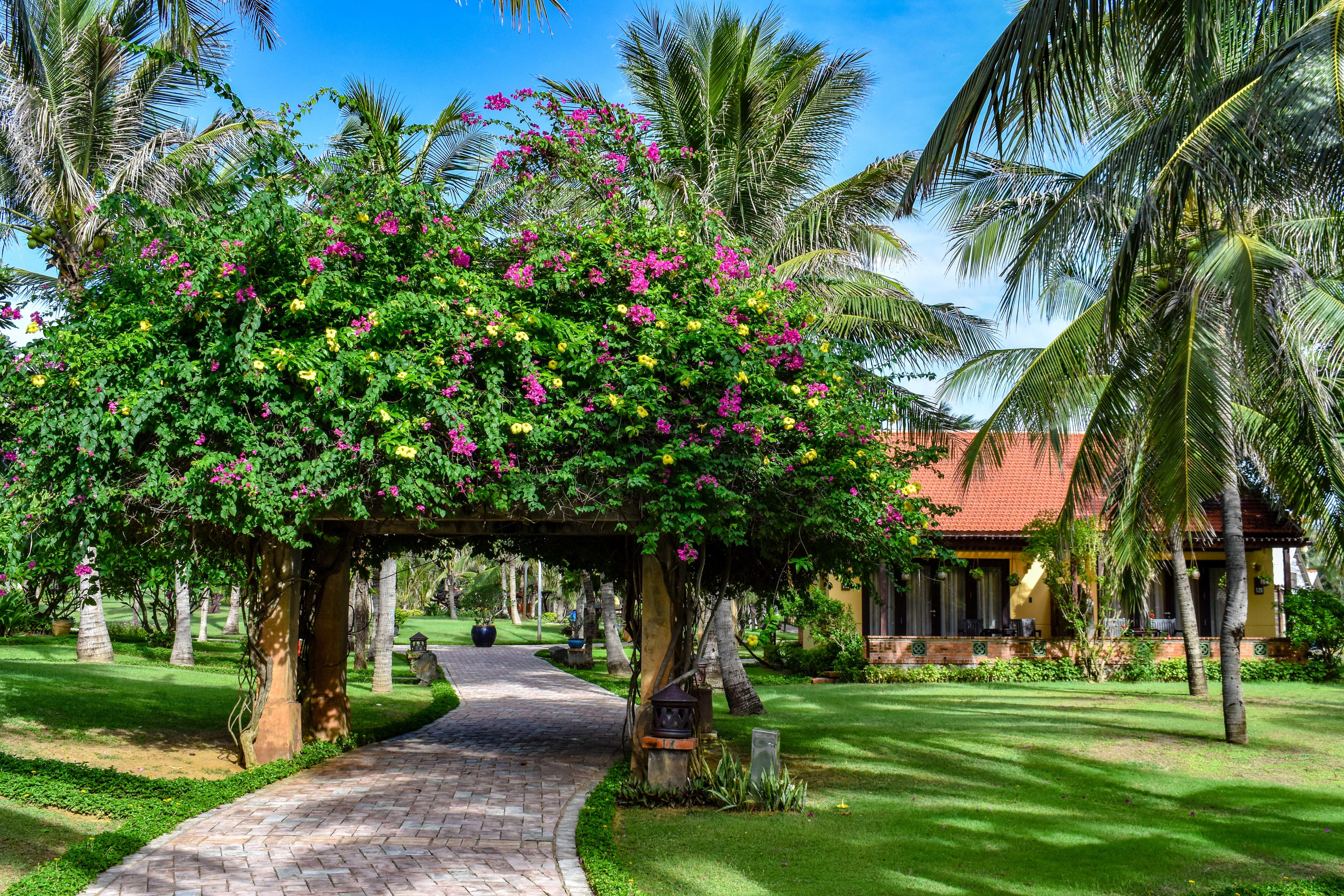 Resort Pandanus