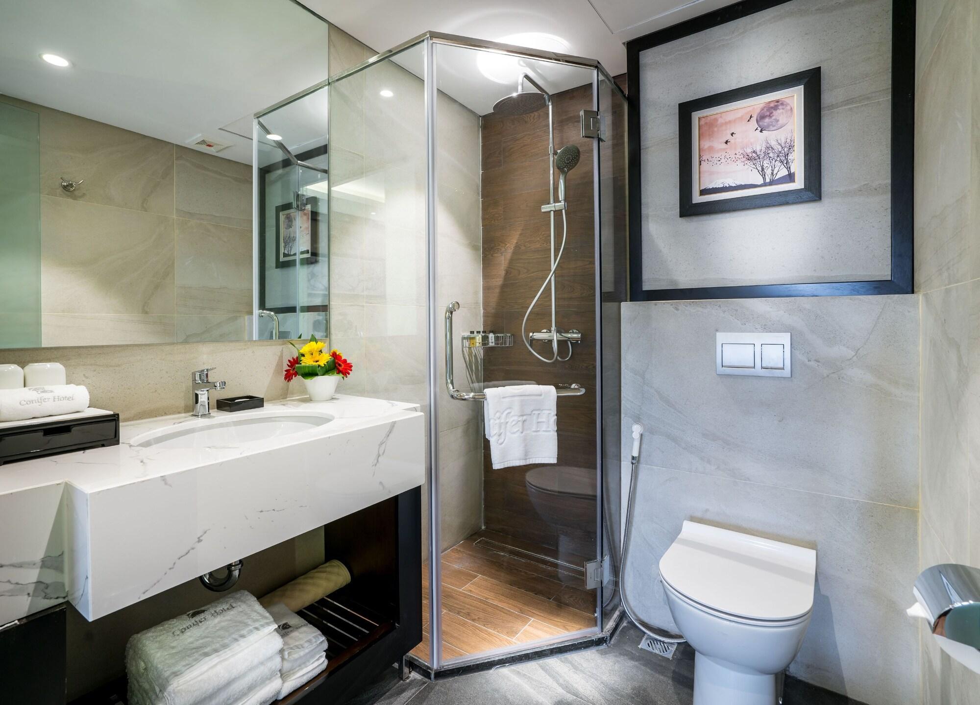 Hotel Conifer Grand 4*