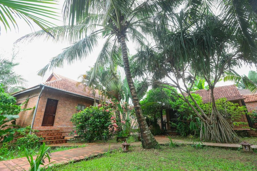 Dưỡng Mai