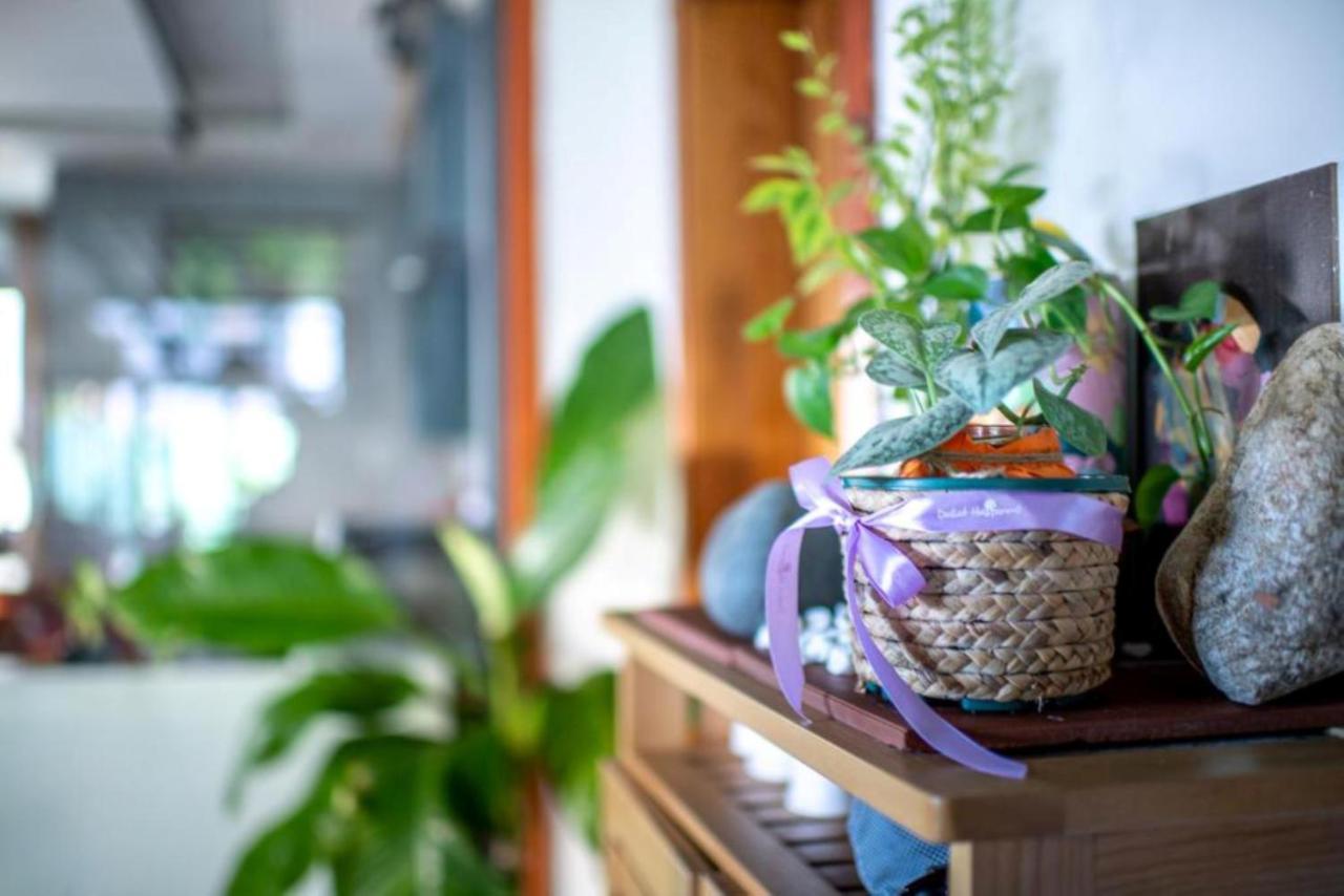 Taian & * Đà Nẵng