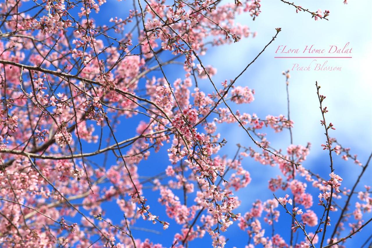 Flora 2* Da Lat
