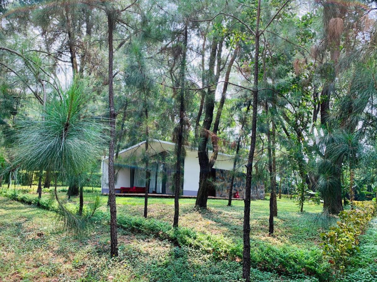 Hilltop H226 - Nam Trong Khuon Vien Flamingo Dai Lai * Phuc Yen