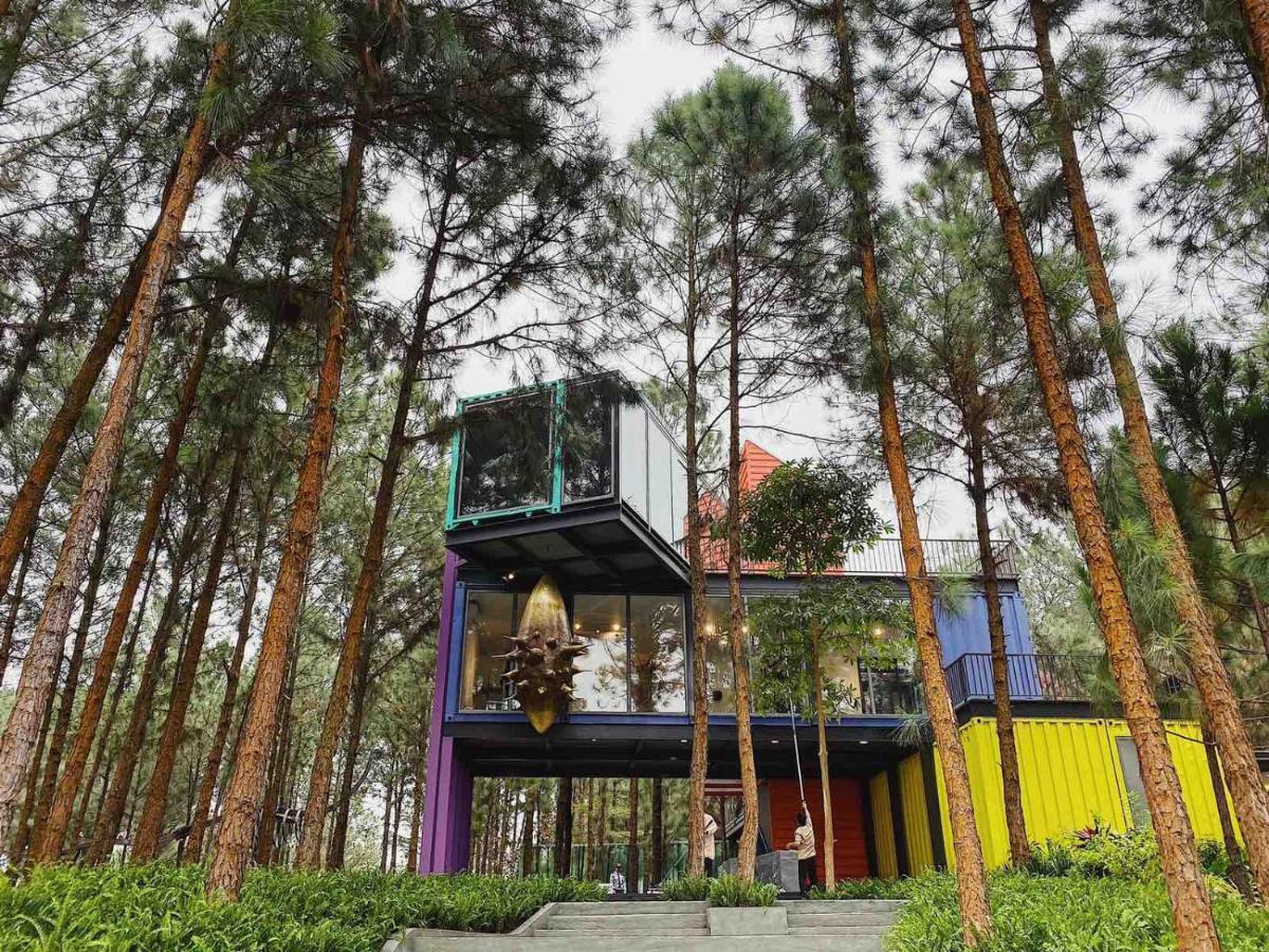 Hilltop H226 - Nam Trong Khuon Vien Flamingo Dai Lai Phuc Yen