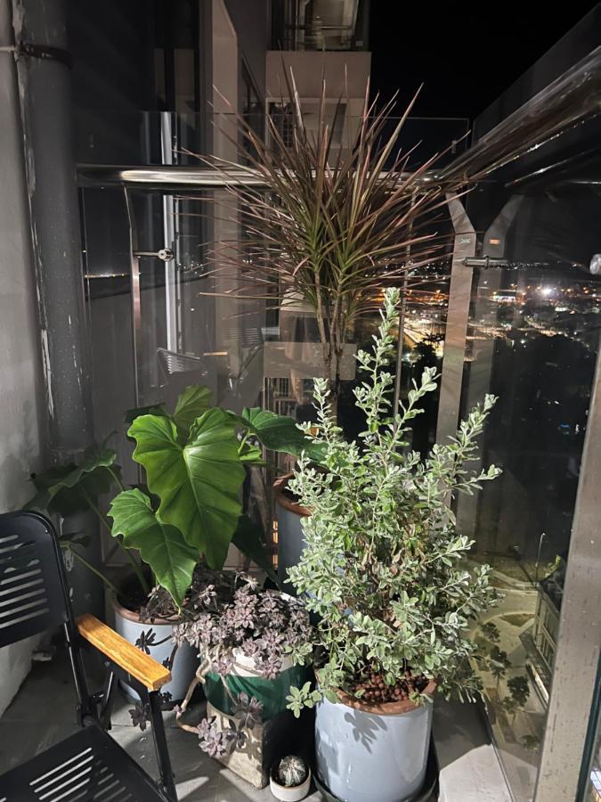 Chi Nera Garden Hue
