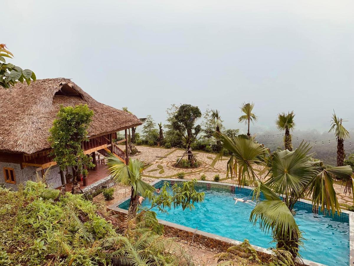 Lodge Tvpalm