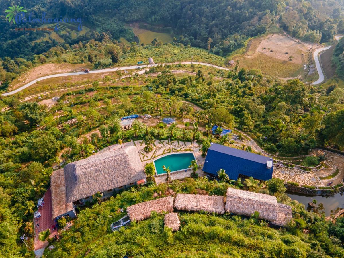 Lodge Tvpalm