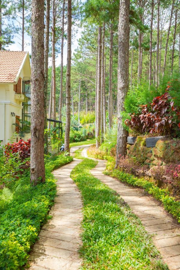 Omirita Da Lat