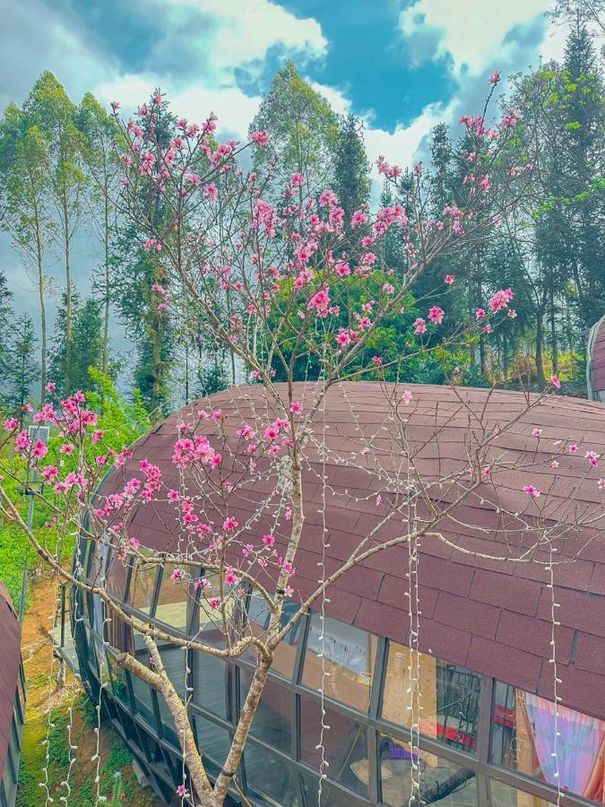 Plum Homestay Resort