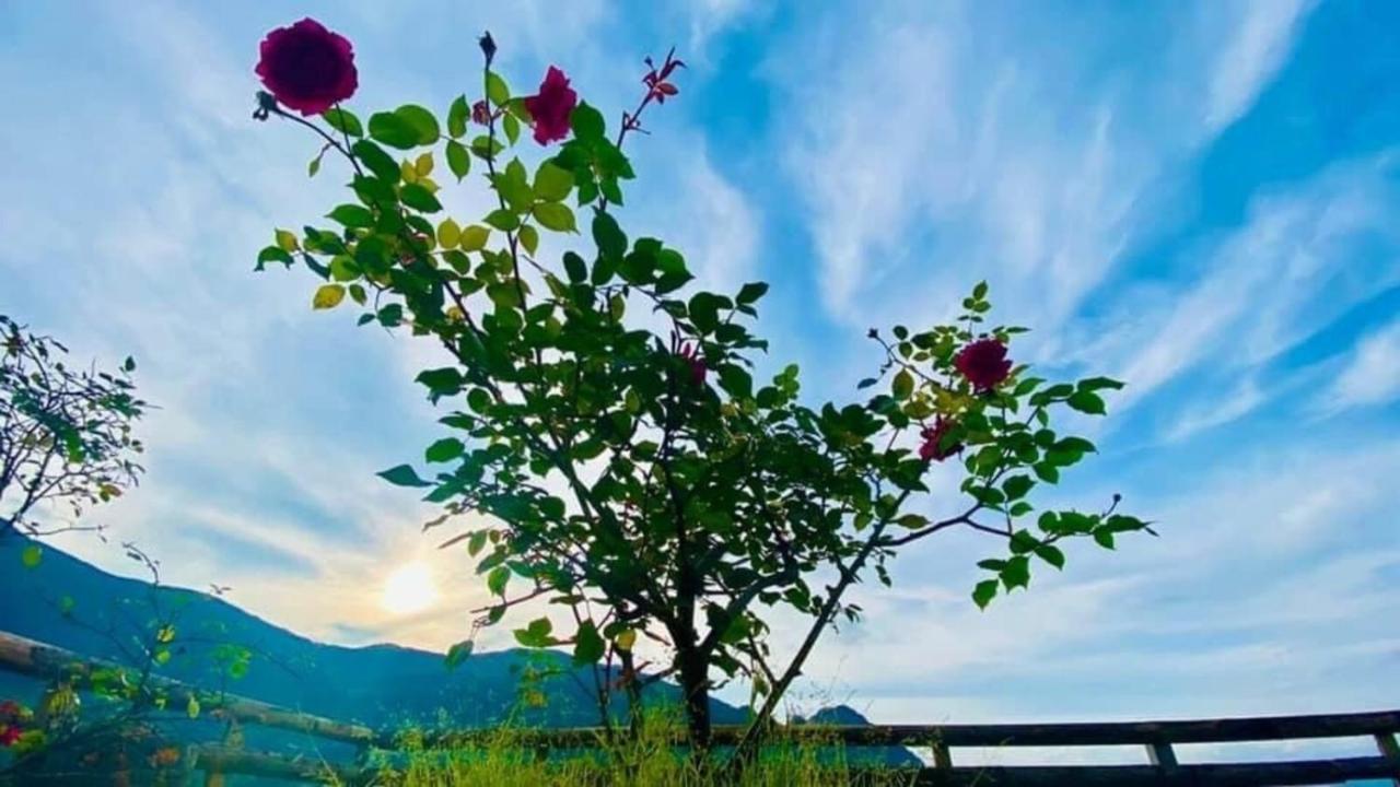 Hotel Ha Lu Lao Cai