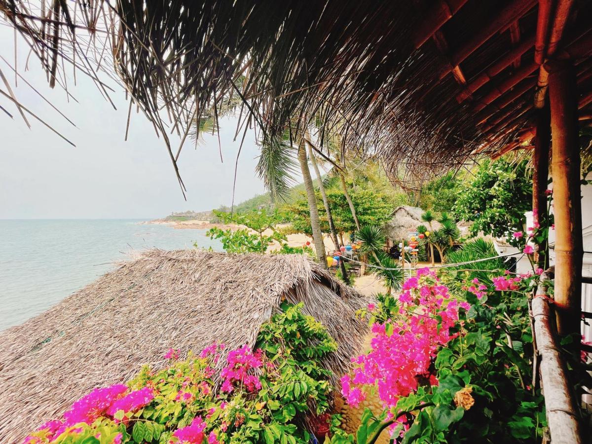 Bai Xep Quy Nhon