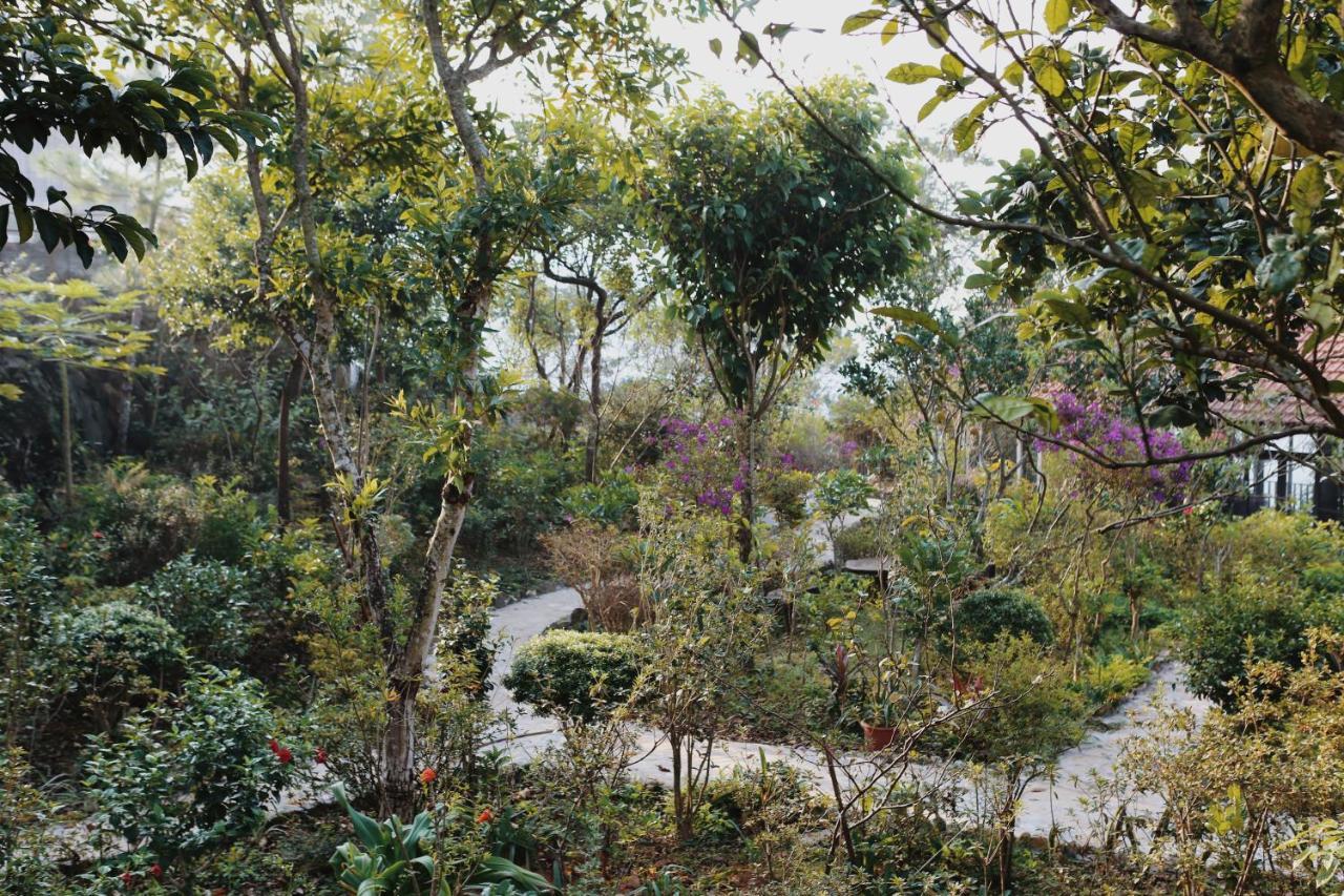 Samma Bed & Breakfast Tam Dao