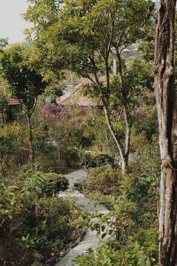 Samma * Tam Dao