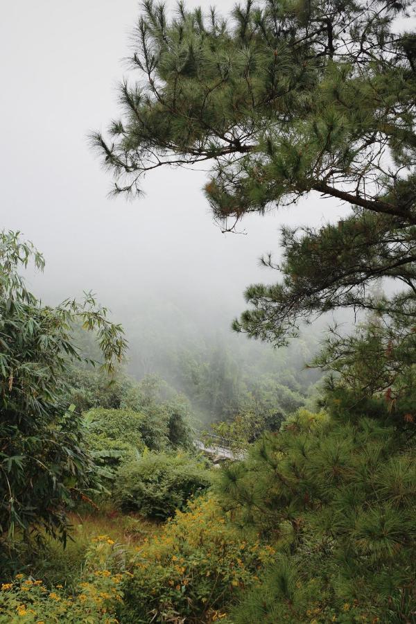 Samma Bed & Breakfast Tam Dao
