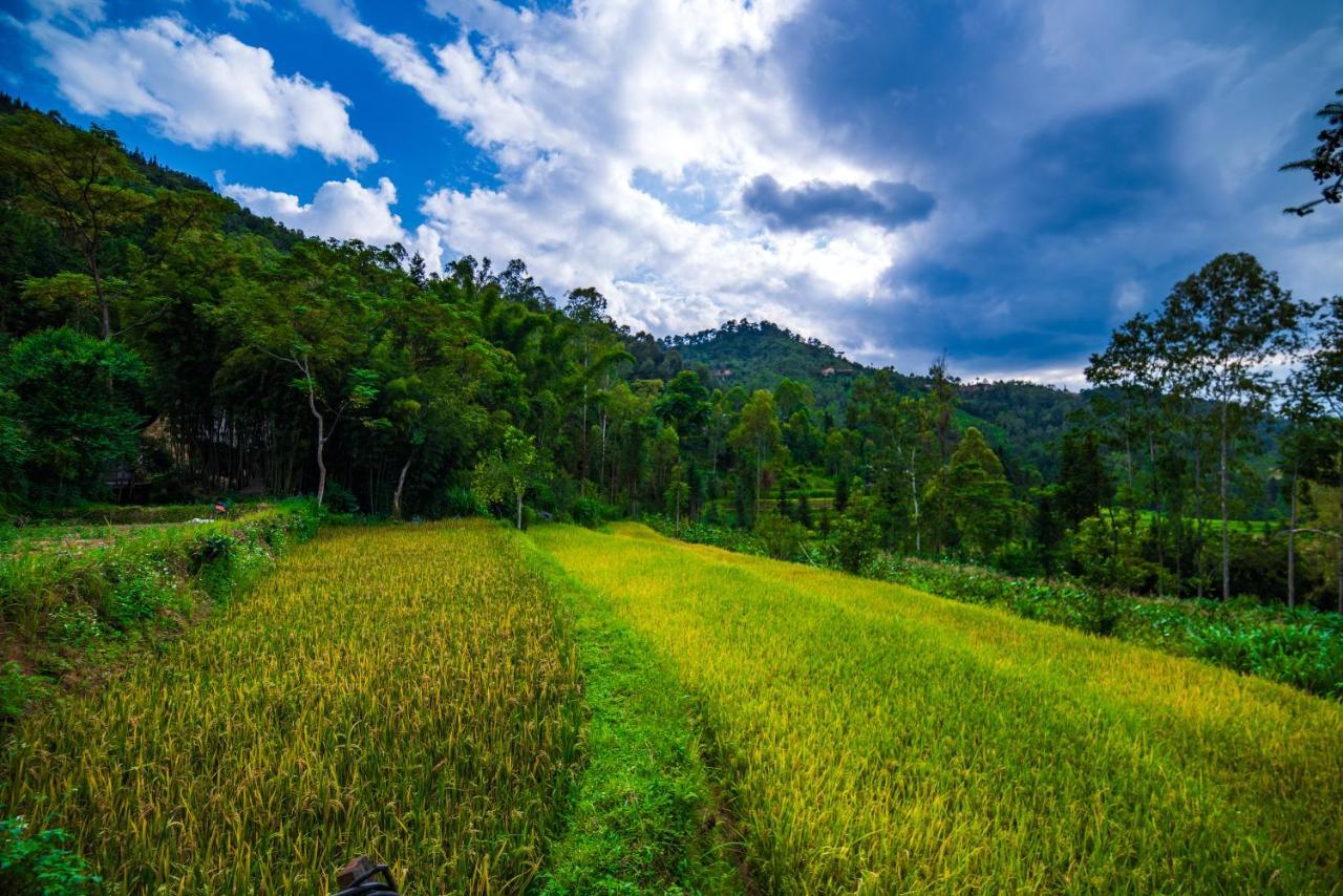 Ở trọ Dong Panorama *