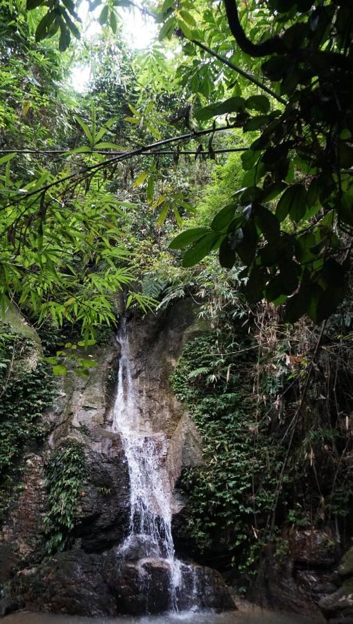 Lodge Khoang Nong Thong Nguyen Ha Giang