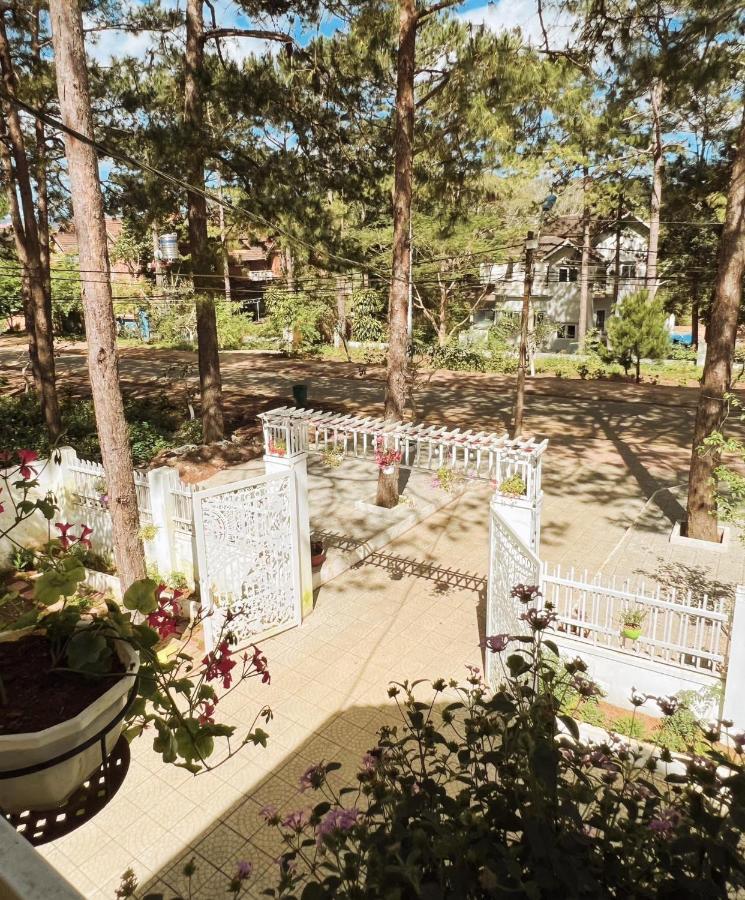 Homestay Mang Den