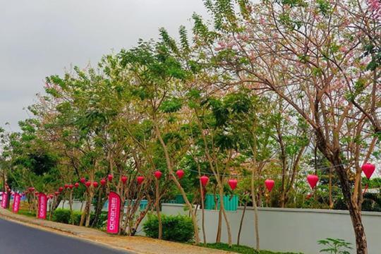 Lovely Oceanami Hotel