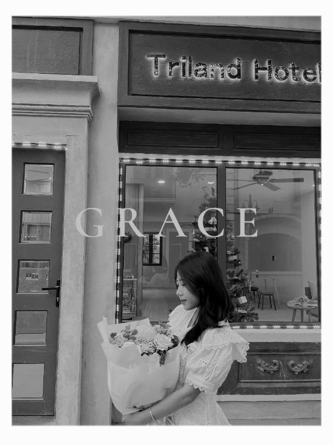 Hotel Triland